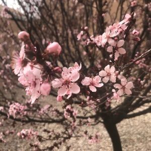 Meet your Posher, Aracely